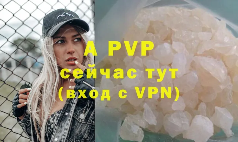 A-PVP СК  Гвардейск 